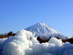 ２０１０　西湖野鳥の森公園「樹氷まつり」