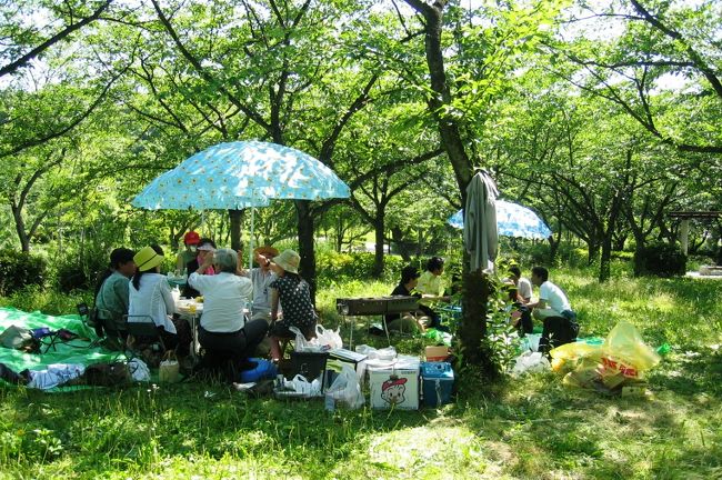 2004初夏、平和公園でバーベキュー