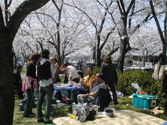 2005春、平和公園での花見(2)