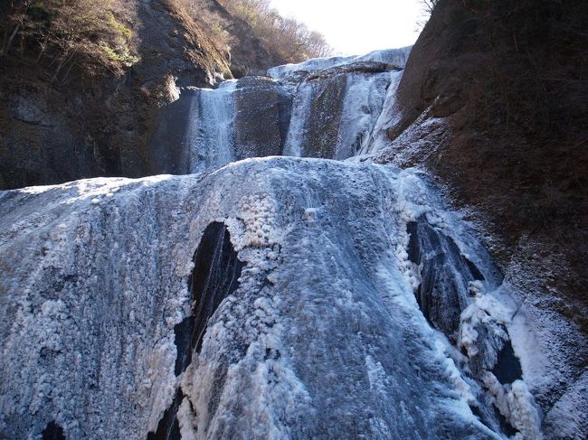 ２０１０年は暖冬傾向とはいえ、結構強烈な寒波が何度か襲来しており、あちらこちらで氷瀑の便りを耳にしました。しかし、なかなかタイミングが合わず氷瀑見学は実現していません。２月の最初の週末に東京出張が入っていましたが、特に何も考えていませんでした。しかし強い寒波が来るということで、急遽袋田の滝へ行くことにしました。私の予想では、凍結するはずです。<br /><br />袋田の滝は、華厳の滝、那智の滝とともに日本三大瀑布のひとつに数えられており、落差は１２０ｍ、幅は７３ｍあります。完全に観光地化された滝で、土産物屋が並び、観瀑台から滝の姿を見るにはお金を払い、トンネルを通って行くというほどです。しかも、２００８年にはエレベーターで行く第二観瀑台も完成しました。エレベーターで見る滝は日本では華厳の滝と袋田の滝ぐらいではないでしょうか？<br /><br />袋田の滝は私にとっては２度目の訪問です。２０年近く前に行ったことがありますが、記憶は定かではありません。百選滝訪問数は６２のままです。<br /><br />袋田の滝滝見難易度：２<br />参考　滝見難易度０：道路から見える、１：片道徒歩５分以内、２：片道徒歩１５分以内、３：片道徒歩３０分以内、４：片道徒歩１時間以内、５：片道徒歩２時間以内、６：片道徒歩２時間以上もしくは２時間以内でも特別な装備が必要な場合など。私の旅行記ではほとんど出現することはないと思われる。<br />注意　滝見難易度はあくまで私の主観によるものであり、また季節や天候により難易度が上がる場合もあります。私の旅行記を参考にされて、「違うかったやんけ」とおっしゃられても責任は負えませんのでご了承ください。また、難易度が高い場合はできる限り単独行は避けるようお願いします。