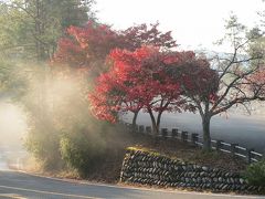 ＜京都第2旅＞ 2009年11月　高雄・嵯峨野めぐり②　嵐山・高雄パークウエイ