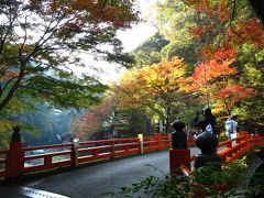 ＜京都第3旅＞ 2009年11月　高雄・嵯峨野めぐり③　神護寺