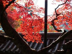 ＜京都第4旅＞ 2009年11月　高雄・嵯峨野めぐり④　西明寺