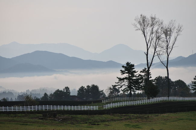 ２００９年秋、蒜山高原でキャンプをした。<br />初めての蒜山高原どんなところだろうと期待をして行った。<br />大阪の季節は秋だけど高原はすっかり晩秋から初冬だった。キャンプ場はガラ空き、ほとんど貸しきり状態。紅葉深まる静かなキャンプになった。<br />２泊３日のうちの２日目には伯耆富士と呼ばれる大山山麓を一回り。天候に恵まれなかったのが残念だった。