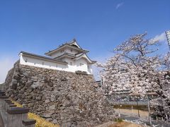 甲府～桜咲きほこる舞鶴城