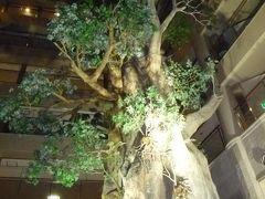 屋久島いわさきホテル滞在記（１泊目）◆世界遺産・屋久島の滝めぐり【その６】