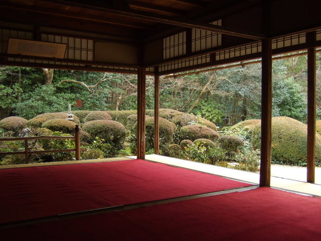 広島旅行の帰りに京都に寄り道。<br />庭園をただただぼーっと眺めるのは、<br />寒すぎで、冬にはあまり向かないなぁーと思ったり。