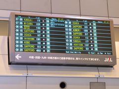 朝の羽田空港は全国へ向けての出発の混雑です