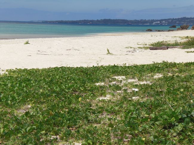 暑くもなく寒くもなく本格的な夏の訪れる前<br />ナイスな沖縄を旅しました！