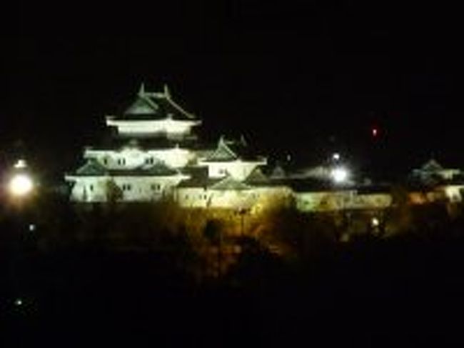 出張で和歌山に行きました。ホテルから見える和歌山城のライトアップがきれいでした。