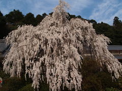 大野寺