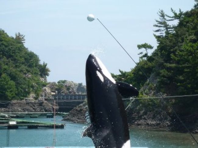 熊野川温泉に宿泊<br />太地くじら博物館で遊びました