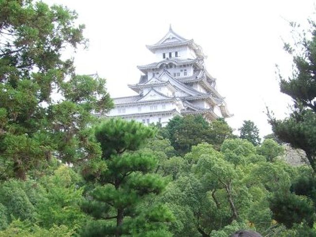 出張ついでに姫路城に行ってきました。
