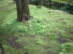 嵐山散策・西芳寺