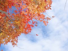 紅葉の聖林寺・安倍文殊院（奈良紅葉巡り２・一人旅）