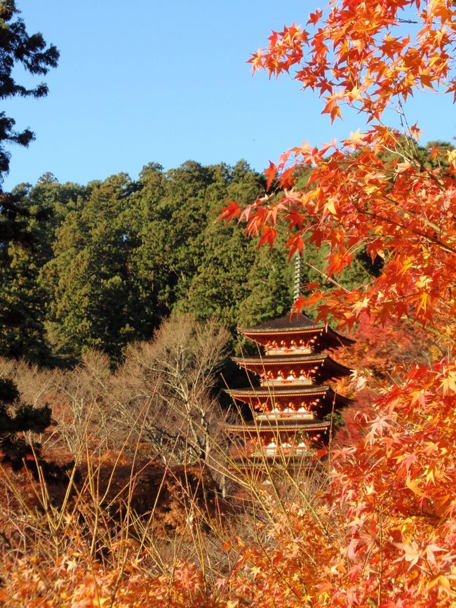 二日目行程(１２／１)<br />長谷寺→宇陀散策→興福寺<br /><br />写真と軽いコメントのみＵＰ中。<br />いつか、ちゃんと書き直したいです。