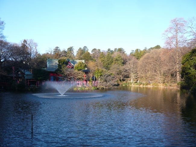 「神田川」歌の名前としては良く知っていましたが、これまで川沿いを歩いたことはありませんでした。ということで、山歩きの仲間と2回に分けて源流から河口まで歩いてみました。この川は、三鷹市の井の頭池を源流とし、両国橋付近で隅田川に合流する全長約25Kmほどの東京のど真ん中を流れている中小河川です。表紙の写真は、源流から出た湧水が蓄えられている井の頭池