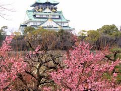 大阪城公園の梅林