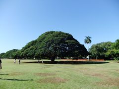 癒しのHawaii③　ノースショア半日観光とフラショー