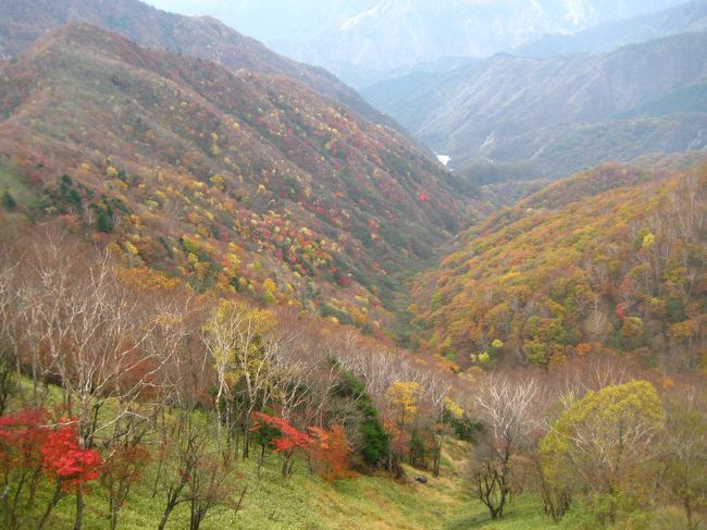 宇都宮における装蹄競技大会の応援と日光観光してきました。<br /><br />日光の紅葉ベストシーズンと重なり、また、２年近くぶりに宇都宮在住の友人と会うことができました!!<br /><br /><br /><br />