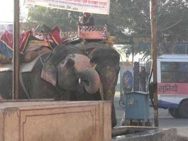インドのネットカフェで写真データがウイルスに感染し、何も出来なくなってしまいました・・・。<br />インドのネットカフェもウイルスソフト入っているところとそうでない所がありますので、ご注意ください<br />準備が整い次第、写真をアップしていきたいと思います。<br /><br />ジャイプールの町はアップダウンが激しく、終始トレッキングしているような印象を覚えています。<br /><br />印象に残っているところはガルタというヒンドゥー教の沐浴場と、タイガーフォートというところです。<br />もちろん、町のピンク色も圧巻ですが(笑)