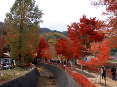 ２００９　河口湖紅葉まつり・もみじ回廊