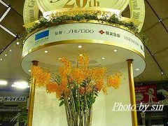 2010 世界らん展日本大賞 in 東京ドーム