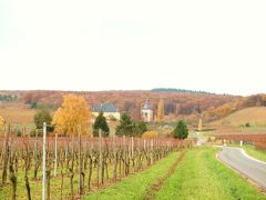 ラインガウの村々　− 11月の情景 続編−