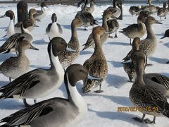 広告に釣られて・・・会津東山温泉に行ってきたぞー(´Д`)