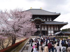 桜の頃の奈良東大寺
