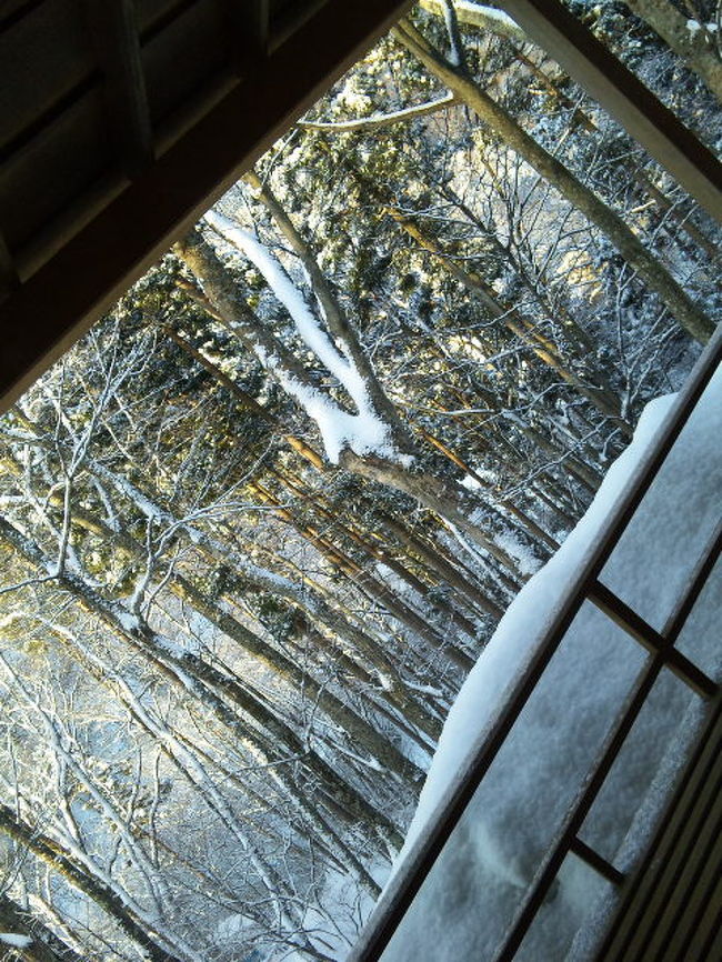 「やっぱり、冬は雪を見とかないと!」と誘われて<br />今年もまた、信州へ。<br /><br />ツレの選んだ「藤井荘」は、なかなかの宿でした。<br /><br />帰りは、2年ぶりの小布施&善光寺。