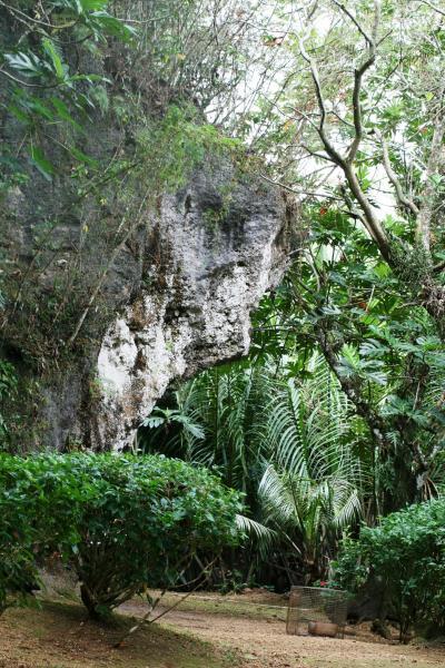 2010冬、グアム島旅行記(7/19)：2月16日(5)：ラッテ・ストーン、椰子の葉細工、パパイアの天然樹