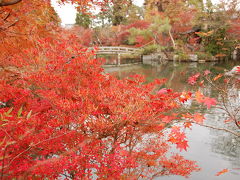 京都紅葉狩り弾丸ツアー２００９