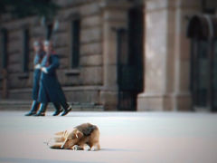 ソフィアカメラ。まろやかに荘厳