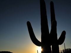 Tucson Trip #2(Sunset and Stars @ Saguaro N.P)