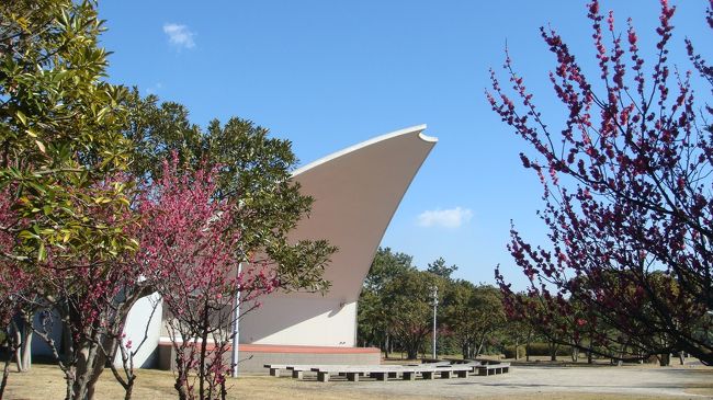 富津公園の岬の先端に行く途中に、咲き誇る紅梅を見つけて写真の撮影をしました。<br /><br />コンデジ片手に青空の中で、技術と機材は全くの素人ですが、気分だけは一流カメラマンの積りで、気持ち良く撮影してきました。<br /><br />写真は、作品といえる物は皆無ですが、気持ち良く散策しながらシャッターを押す気分だけは素人でなければ味わえないのかも。