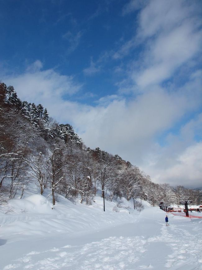 ２月２０・２１と裏磐梯に雪遊びに行きました<br /><br />メンバーは、姉夫婦と６歳と３歳の甥っ子二人と　私達夫婦と５ヵ月半のわが子とで行きました。<br /><br />始めは、アルツ磐梯や毎年行ってるグランデコにしようかと計画してましたが、アルツ磐梯はキッズパークが高いし混雑する<br />グランデコは、キッズパークがソリ遊びするところしかない<br />それで、裏磐梯スキー場に決定<br /><br />裏磐梯スキー場は、平日は学校のスキースクールで人も多いですが、ゲレンデが小さく滑り目的の客があまり来ないので土日でもかなり空いてます。センターハウスからゲレンデのほぼ全てが見えて子供達が何してるかとか迷子になってるなどの心配もありませんでした。あるいみもっとも安心して遊べるスキー場ですね。<br />キッズパークも５００Ｍのソリコースや、浮き輪みたいなやつで滑るチュービングコースがあって、チューブも１日￥１，０００半日￥５００でレンタル出来て、チュービングコースもスリル満点で楽しい雪遊びが出来ます。それから物凄く初心者用のゲレンデなので、子供のスキーデビューや超ビギナーの練習には最適です。３歳の甥っ子も無事スキーデビューしました。<br /><br />それ以外に凄く良かったところは、託児所があって０歳からＯＫで、これまで生後２ヶ月の赤ちゃんも受けた事があるそうです。<br />もちろん家の５ヵ月半の子も預けました。１日１５００円で、何回で入りしてもＯＫとのことで、２時間置き位にミルクをあげに行ってその間雪遊びをやボードを楽しみました<br /><br />ただ滑る事を考えると、やりこんでる人にはつまらないスキー場ですね。滑るだけじゃなくスノーシュートレッキングも盛んなところで、滑り客以外にも沢山スノーシューの人たちが来てました。<br />正直滑るのが詰まらないので、次回はスノーシューでもやってみようと思います。<br /><br />宿泊は　ペンション　ほんねで勝負さん<br />ここはオーナーが写真のガイドをしてて、裏磐梯のフォトスポットにはかなり詳しいので、写真好きな人にはお勧めです。<br />食事もおいしく量も半端じゃなく出てきます。<br />食事中など、私と奥さんが食べやすいように家の子を抱っこしてくれたり、とっても親切で家庭的なペンションでした。<br />かなりお気に入りのペンションで、今年の夏や秋も写真撮影や釣りやカヌーをしに行くので、定宿にする事にしました。<br />