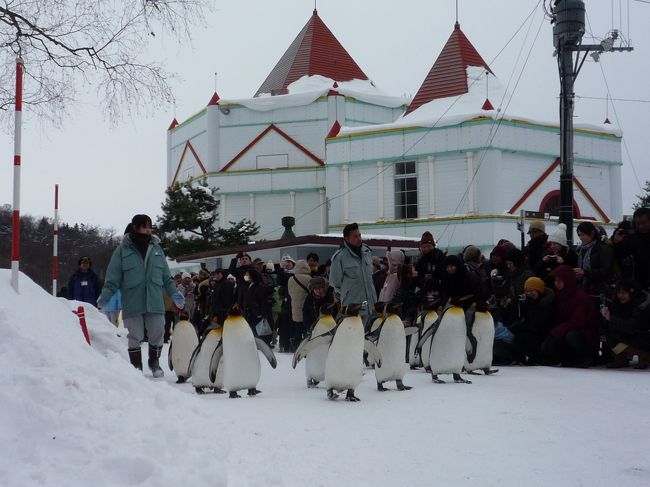 北海道旅行３日目、本日は旭山動物園です。<br />