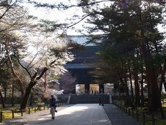 京都南禅寺の桜－2008年