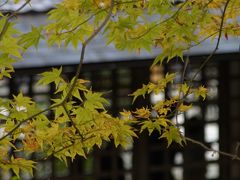 医王霊山温泉寺　紅葉狩り旅行