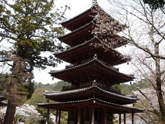 京都海住山寺－桜の頃の五重塔
