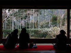 京都を歩く(46) 宝泉院～絵画さながらの「額縁庭園」～