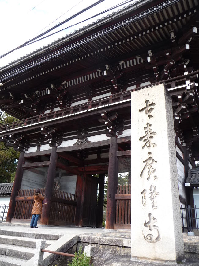 太秦広隆寺は603年（推古天皇の時代）に聖徳太子によって建立された京都最古の寺院です。<br /><br />2008年10月に行かれたRitaさんの《京都/弥勒菩薩に恋せよ、乙女　【広隆寺】》という旅行記を読んで、JOECOOLも行きたいなと思っていました。<br />その機会をやっと作ることができ、たくさんの素晴らしい仏像に会ってきました。<br /><br />Ritaさんの旅行記はこちら→http://4travel.jp/traveler/lovelyrita/album/10281828/