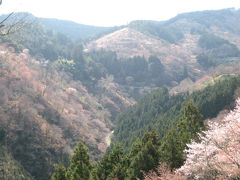 京都・奈良（桜巡り）　その３～吉野山編～　２００８年４月  