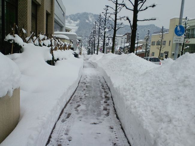 雪を見たくて勝山の方に足を延ばしました<br />全然、気軽に考えていたので、歩くのも困難な雪の量に驚きました