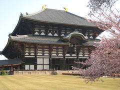 京都・奈良（桜巡り）　その７～東大寺・春日大社・元興寺編～　２００８年４月  