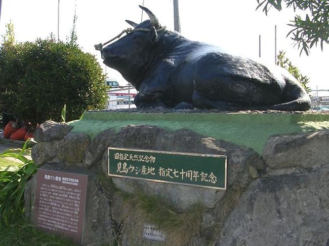 2008年も出張の多い年でした。<br /><br />10月に広島に出張した際の「仕事ついで旅」。<br /><br />今回は、山口県まで足を伸ばし、萩市にある見島を訪れました。<br /><br />週末を利用したミニトリップです。<br /><br />★離島シリーズ<br /><br />中之島(2015)<br />http://4travel.jp/travelogue/11108796<br />宝島(2015)<br />http://4travel.jp/travelogue/11108467<br />渡鹿野島(2015)<br />http://4travel.jp/travelogue/11104558<br />軍艦島(2015)<br />http://4travel.jp/travelogue/11067774<br />座間味島(2014)<br />http://4travel.jp/travelogue/11012275<br />直島(2011)<br />http://4travel.jp/traveler/satorumo/album/10563266/<br />沖縄本島(2010)<br />http://4travel.jp/traveler/satorumo/album/10475825/<br />http://4travel.jp/traveler/satorumo/album/10474837/<br />http://4travel.jp/traveler/satorumo/album/10474238/<br />石垣島(2010)<br />http://4travel.jp/traveler/satorumo/album/10474600/<br />舳倉島(2009)<br />http://4travel.jp/traveler/satorumo/album/10421387/<br />的山大島(2008)<br />http://4travel.jp/traveler/satorumo/album/10433086/<br />見島(2008)<br />http://4travel.jp/traveler/satorumo/album/10434165/<br />田代島(2008)<br />http://4travel.jp/traveler/satorumo/album/10438629/<br />神島&答志島(2007)<br />http://4travel.jp/traveler/satorumo/album/10450551/<br />小豆島(2006)<br />http://4travel.jp/traveler/satorumo/album/10470626/<br />池島(2006)<br />http://4travel.jp/traveler/satorumo/album/10471632/<br />沖縄本島(2006)<br />http://4travel.jp/traveler/satorumo/album/10470372/<br />北大東島&南大東島(2006)<br />http://4travel.jp/traveler/satorumo/album/10469581/<br />奄美大島(2002)<br />http://4travel.jp/traveler/satorumo/album/10622392/<br />父島(2001)<br />http://4travel.jp/traveler/satorumo/album/10573810/<br />与論島(2001)<br />http://4travel.jp/traveler/satorumo/album/10574236/<br />沖永良部島(2001)<br />http://4travel.jp/traveler/satorumo/album/10574247/<br />久米島(2001)<br />http://4travel.jp/traveler/satorumo/album/10574251/<br />渡名喜島(2001)<br />http://4travel.jp/traveler/satorumo/album/10575373/