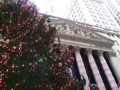 3泊5日！強硬ニューヨークの旅