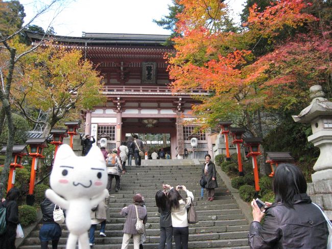 紅葉を観に京都へ。<br />お花見、紅葉狩りという文化がある日本って素敵だな～って、今回の旅行で改めて思いました♪