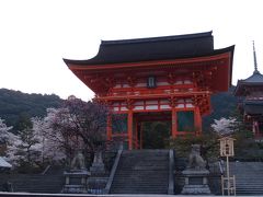 京都清水寺の桜－2008年